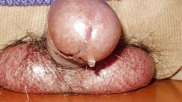 Pornografia gratuita sem registo  Os homens que inflam têm um desporto pornô vídeos pornô feminino