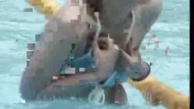 Pornografia gratuita sem registo  Frango branco preto vídeo pornô doido brasileiro frito