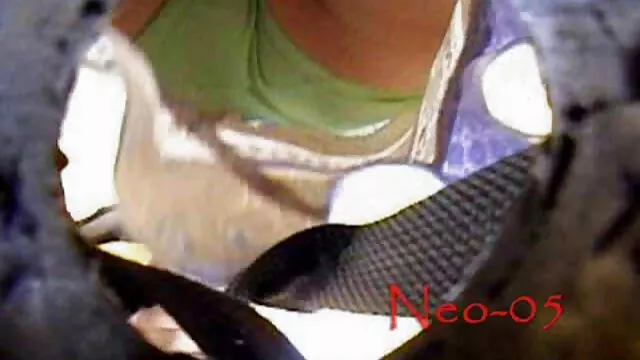 Pornografia gratuita sem registo  Que se foda vídeo de pornô das brasileirinhas a pila grossa, a namorada Boazona com seios lindos.