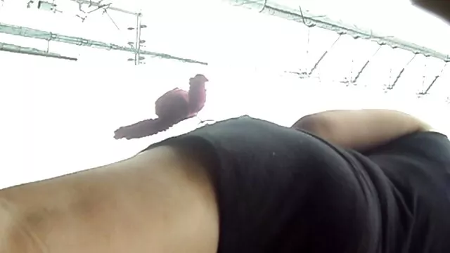 Pornografia gratuita sem registo  Mulheres com seios grandes embrulham a namorada pimenta vídeo pornô de menina nova forte