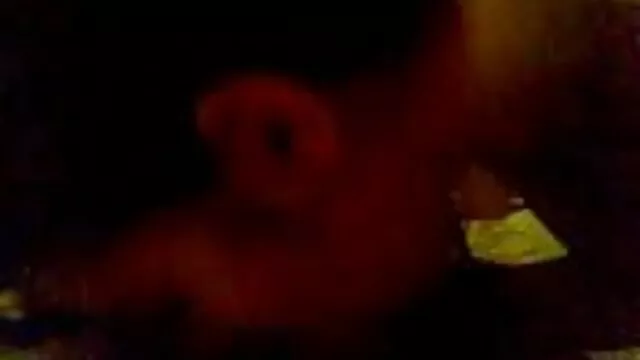 Pornografia gratuita sem registo  Recém-casados à noite videos de sexo brasileiro gratis decidiram fazer sexo